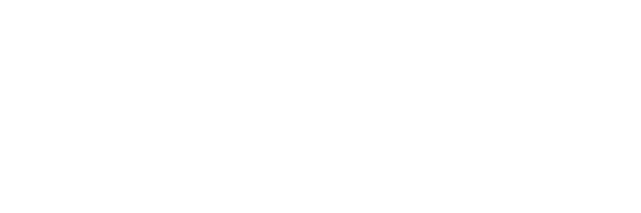 Skudora dark logo